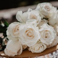 MRS_5022_0004_Sfondo